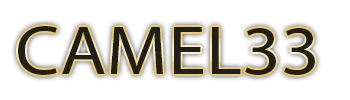 Logo CAMEL33